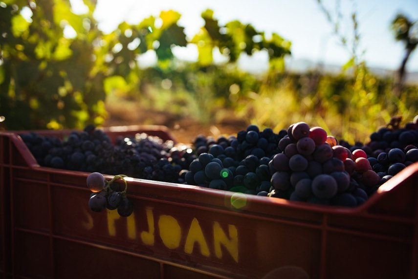 Valle de Guadalupe está a nada de extraviarse para siempre: Ricardo Raphael