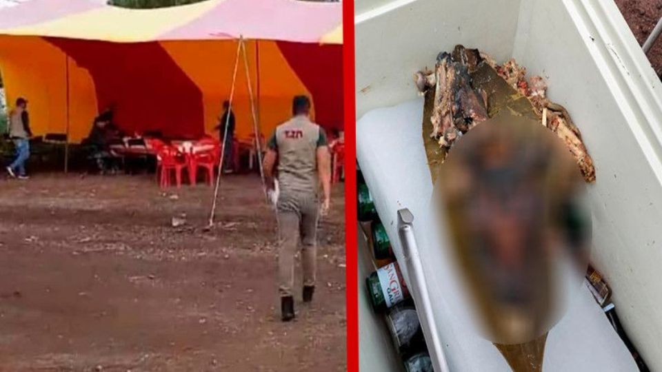 Acusan a comerciante de vender barbacoa de perro